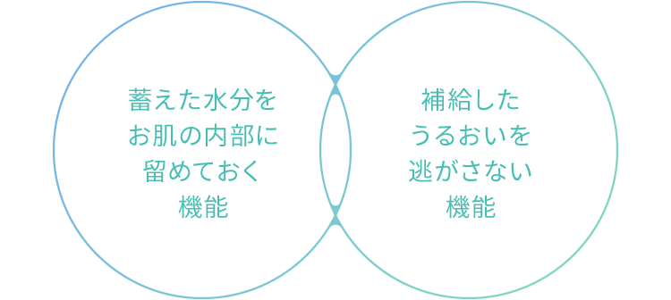 水分を貯えてお肌の内部に留めておく機能、補給したうるおいを逃がさない機能