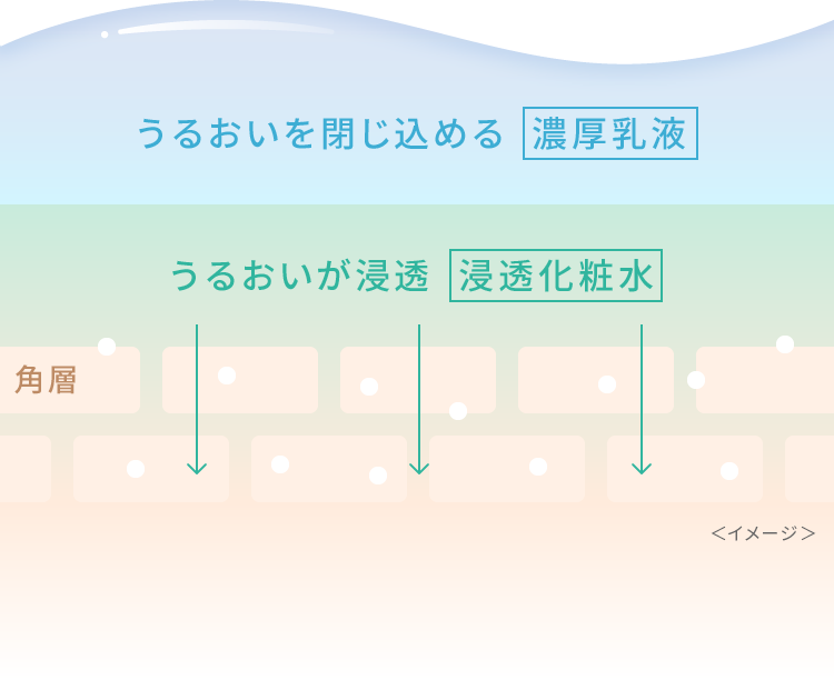 うるおいを閉じ込める濃厚乳液、うるおいが浸透浸透化粧水