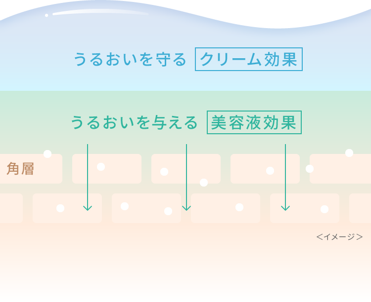 うるおいを守るクリーム効果、うるおいを与える美容液効果