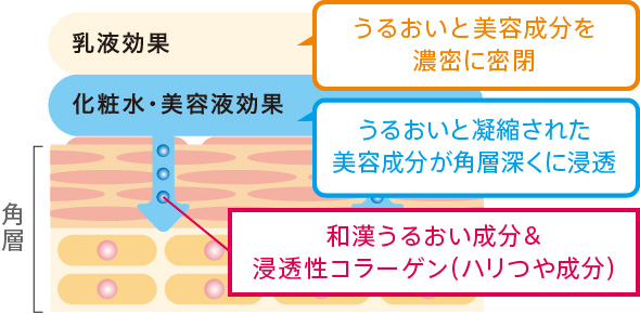 乳液効果　うるおいと美容成分を濃密に密閉　化粧水・美容液効果　うるおいと凝縮された美容成分が角層深くに浸透　和漢うるおい成分＆浸透性コラーゲン（ハリつや成分）