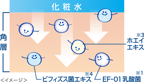 キュチュラ ｎ化粧水 ｒｎ しっとり化粧水 株式会社ｐｄｃ
