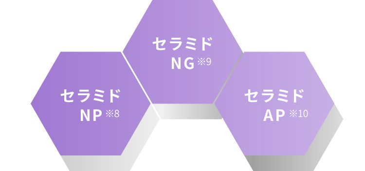 セラミドNP※8、セラミドNG※9、セラミドAP※10