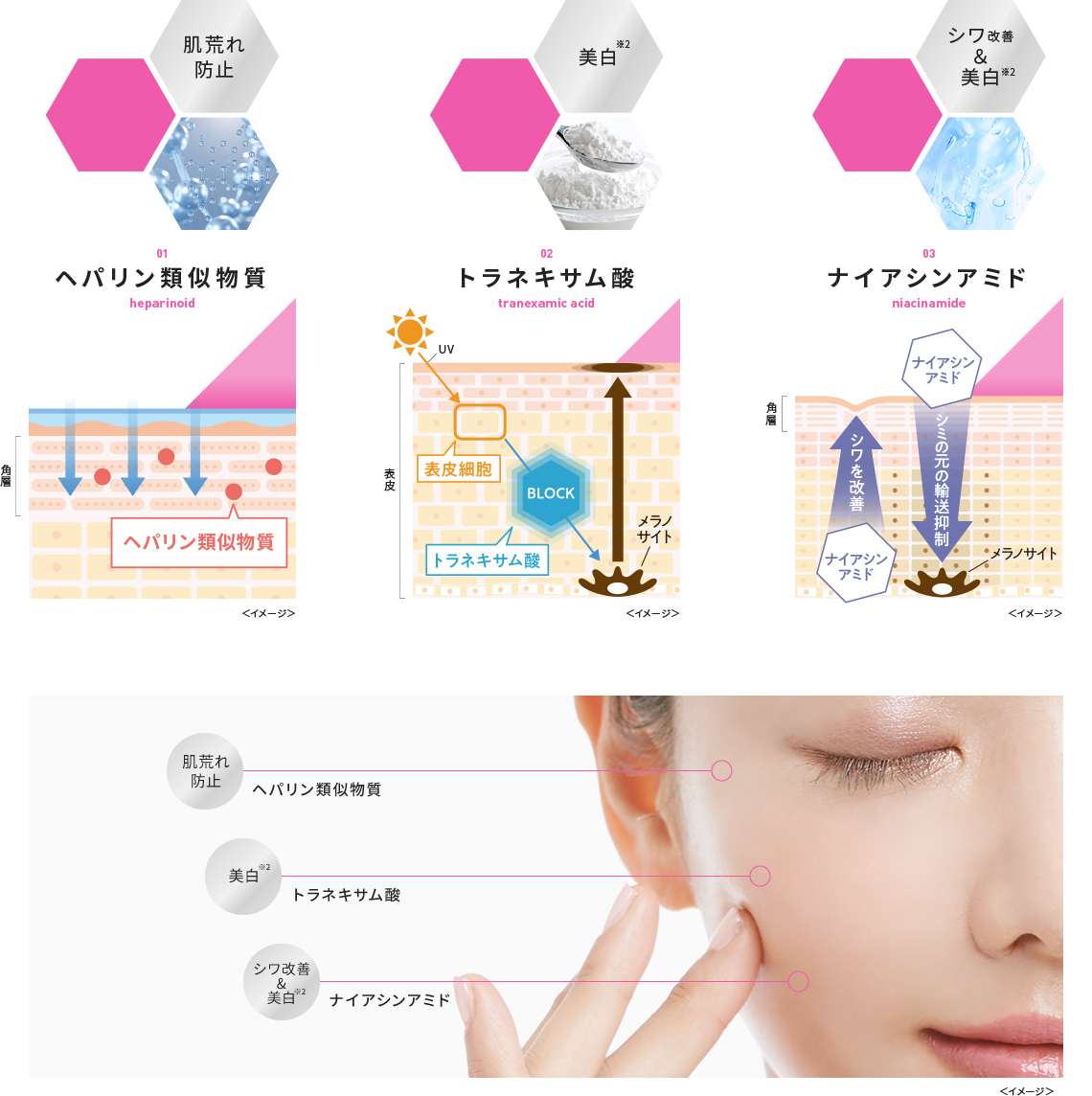 肌荒れ防止 01 ヘパリン類似物質 heparinoid、美白※2、02 トラネキサム酸 tranexamic acid、シワ改善&美白※2 03 ナイアシンアミド niacinamide<イメージ>