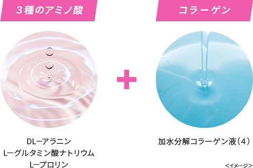 【3種のアミノ酸】DL-アラニン、L-グルタミン酸ナトリウム、L-プロリン【コラーゲン】加水分解コラーゲン液(4)<イメージ>