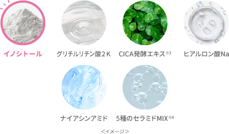 イノシトール、グリチルリチン酸2K、CICA発酵エキス※3、ヒアルロン酸Na、ナイアシンアミド、5種のセラミドMIX※4<イメージ>