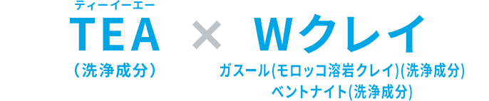 TEA(洗浄成分) × Wクレイガスールガスール(モロッコ溶岩クレイ)(洗浄成分)ベントナイト(洗浄成分)