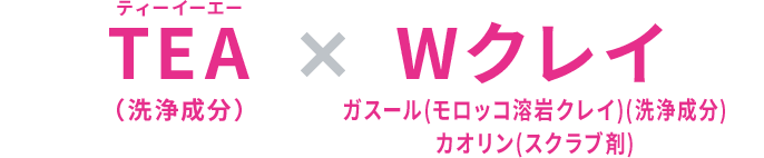 TEA(洗浄成分) × Wクレイガスール(モロッコ溶岩クレイ)(洗浄成分)カオリン(スクラブ剤)