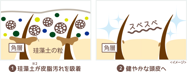 1 珪藻土が皮脂汚れを吸着　2 健やかな頭皮へ