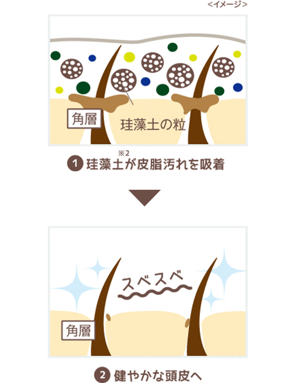 1 珪藻土が皮脂汚れを吸着　2 健やかな頭皮へ