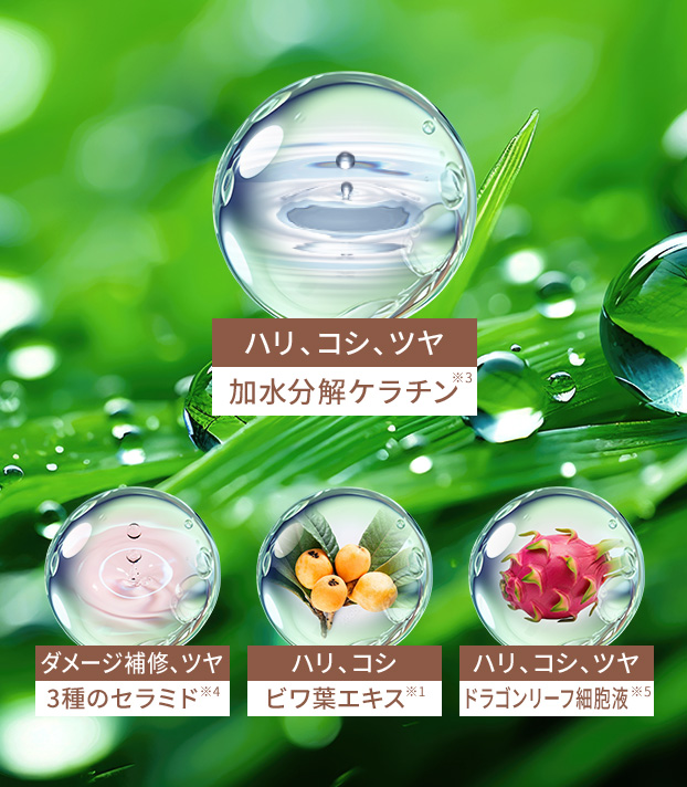 ハリ、コシ、ツヤ（加水分解ケラチン※3）／ダメージ補修、ツヤ（3種のセラミド※4）／ハリ、コシ（ビワ葉エキス※1）／ハリ、コシ、ツヤ（ドラゴンリーフ細胞液※5）