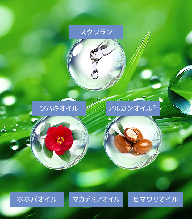 スクワラン／ツバキオイル／アルガンオイル※6／ホホバオイル／マカデミアオイル／ヒマワリオイル