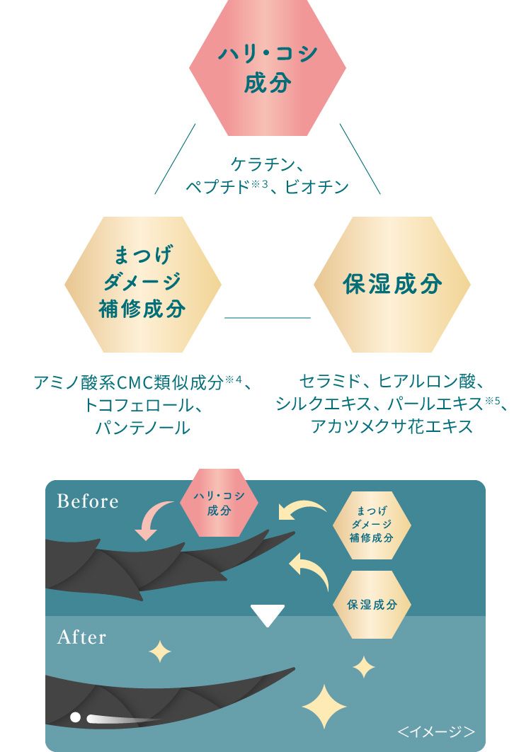 【ハリ・コシ成分】ケラチン、ペプチド※3、ビオチン【まつげダメージ補修成分】アミノ酸系CMC類似成分※4、トコフェロール、パンテノール【保湿成分】セラミド、ヒアルロン酸、シルクエキス、パールエキス※5、アカツメクサ花エキス。Before⇒After<イメージ>