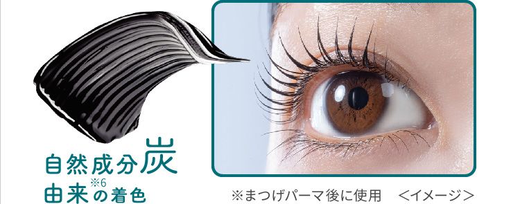 自然成分炭由来※6の着色 ※まつげパーマ後に使用 <イメージ>