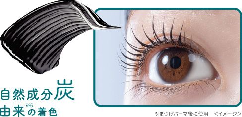 自然成分炭由来※6の着色 ※まつげパーマ後に使用 <イメージ>