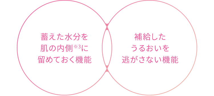 蓄えた水分を肌の内側※3に留めておく機能　補給したうるおいを逃がさない機能