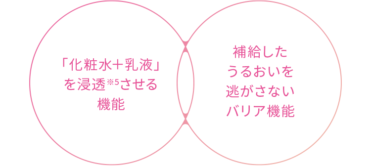 「化粧水＋乳液」を浸透※5させる機能　補給したうるおいを逃がさないバリア機能