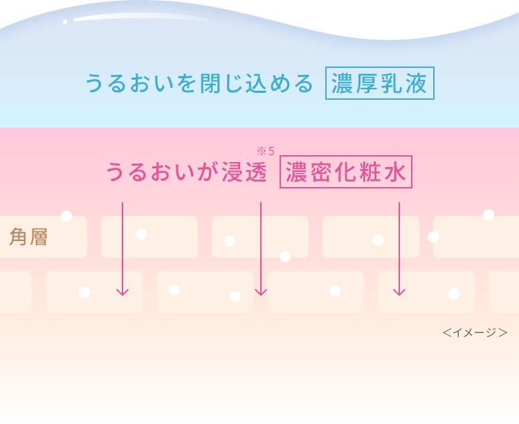 うるおいを閉じ込める濃厚乳液　うるおいが浸透※5濃密化粧水