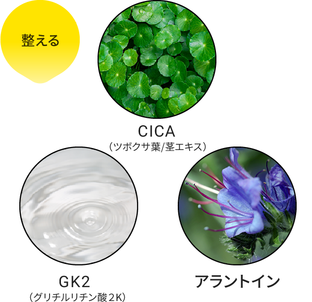 整える：CICA、GK2、アラントイン