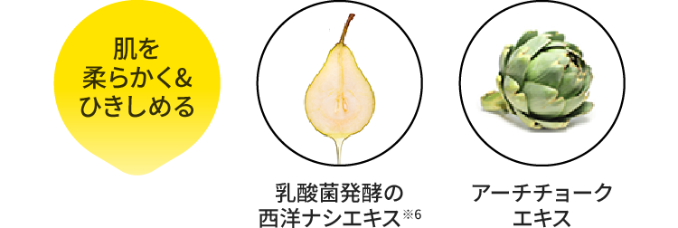 肌を柔らかく&ひきしめる：乳酸菌発酵エキス※６の西洋ナシエキス、アーチチョークエキス