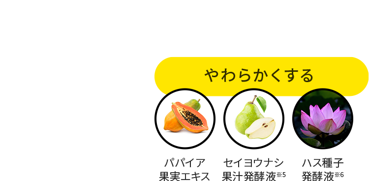 やわらかくする：パパイア果実エキス、セイヨウナシ果汁発酵液※5、ハス種子発酵液※6