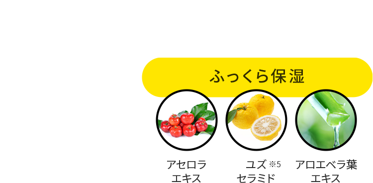 ふっくら保湿：アセロラエキス、ユズセラミド＊5、アロエベラ葉エキス