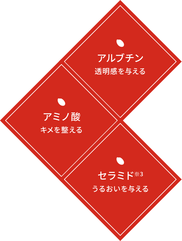 アルブチン 透明感を与える、アミノ酸 キメを整える、セラミド※3 うるおいを与える