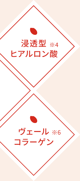 浸透型ヒアルロン酸※4　ヴェールコラーゲン※6