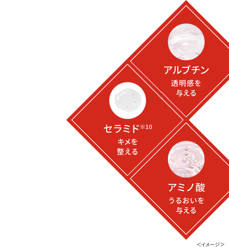 アルブチン：透明感を与える、セラミド※10：キメを整える、アミノ酸：うるおいを与える＜イメージ＞