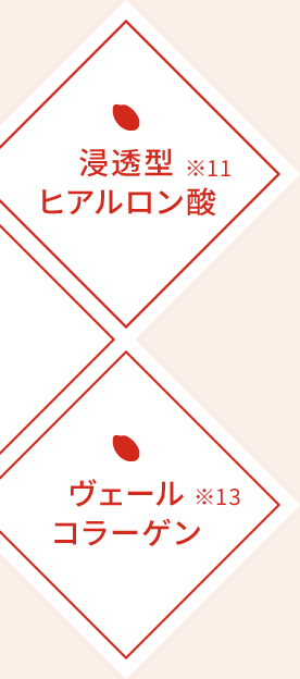 浸透型ヒアルロン酸※11　ヴェールコラーゲン※13