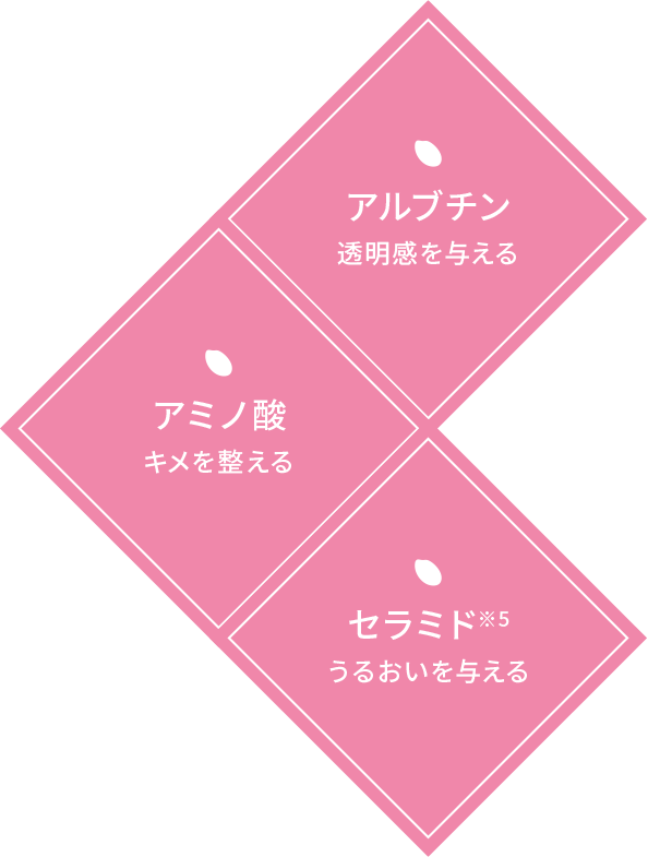 アルブチン 透明感を与える、アミノ酸 キメを整える、セラミド※5 うるおいを与える