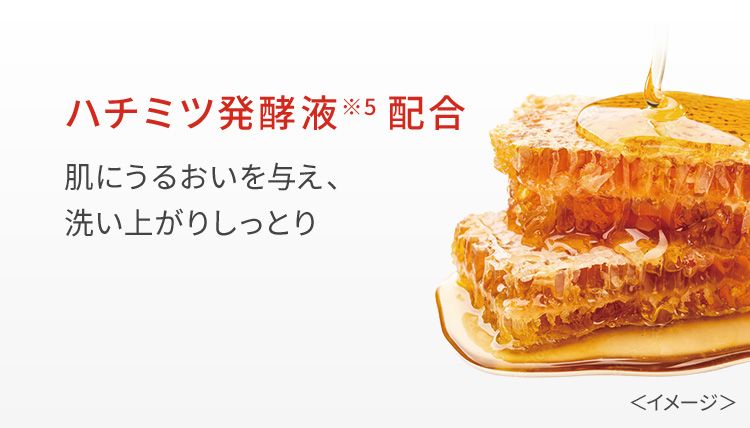 ハチミツ発酵液※5配合肌にうるおいを与え、洗い上がりしっとり<イメージ>