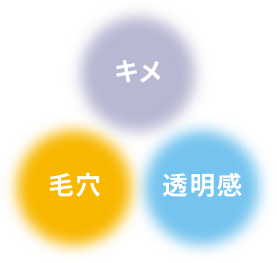 キメ+毛穴+透明感
