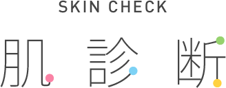 SKIN CHECK 肌診断