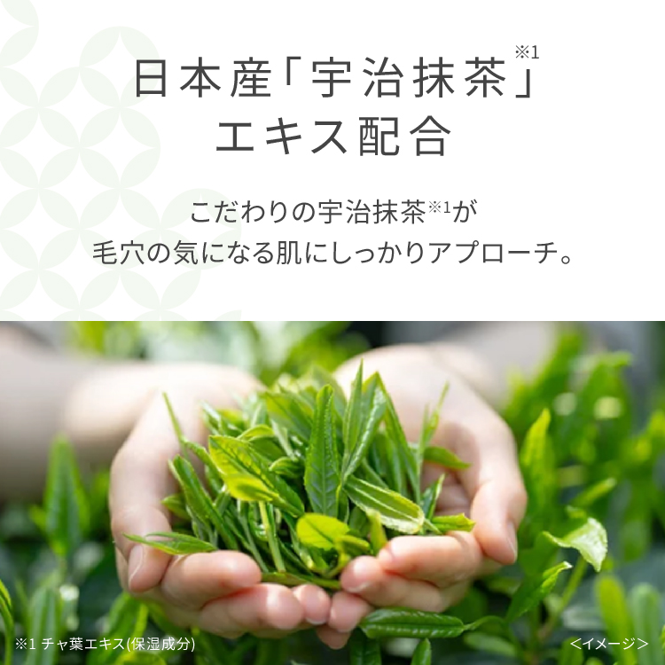 ワフードメイド 宇治抹茶パック N