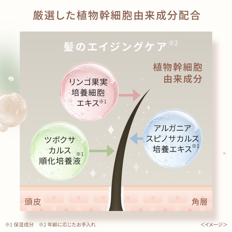 ピオラ　ボタニカルボリュームトリートメント　ジャスミン＆イランイランの香り