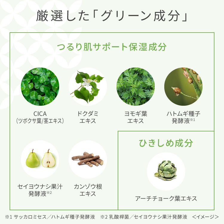 ワフードメイド 宇治抹茶マスク N