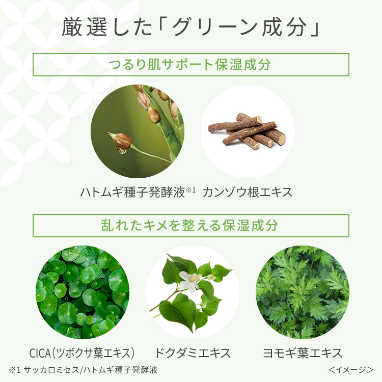 ワフードメイド 宇治抹茶パック N